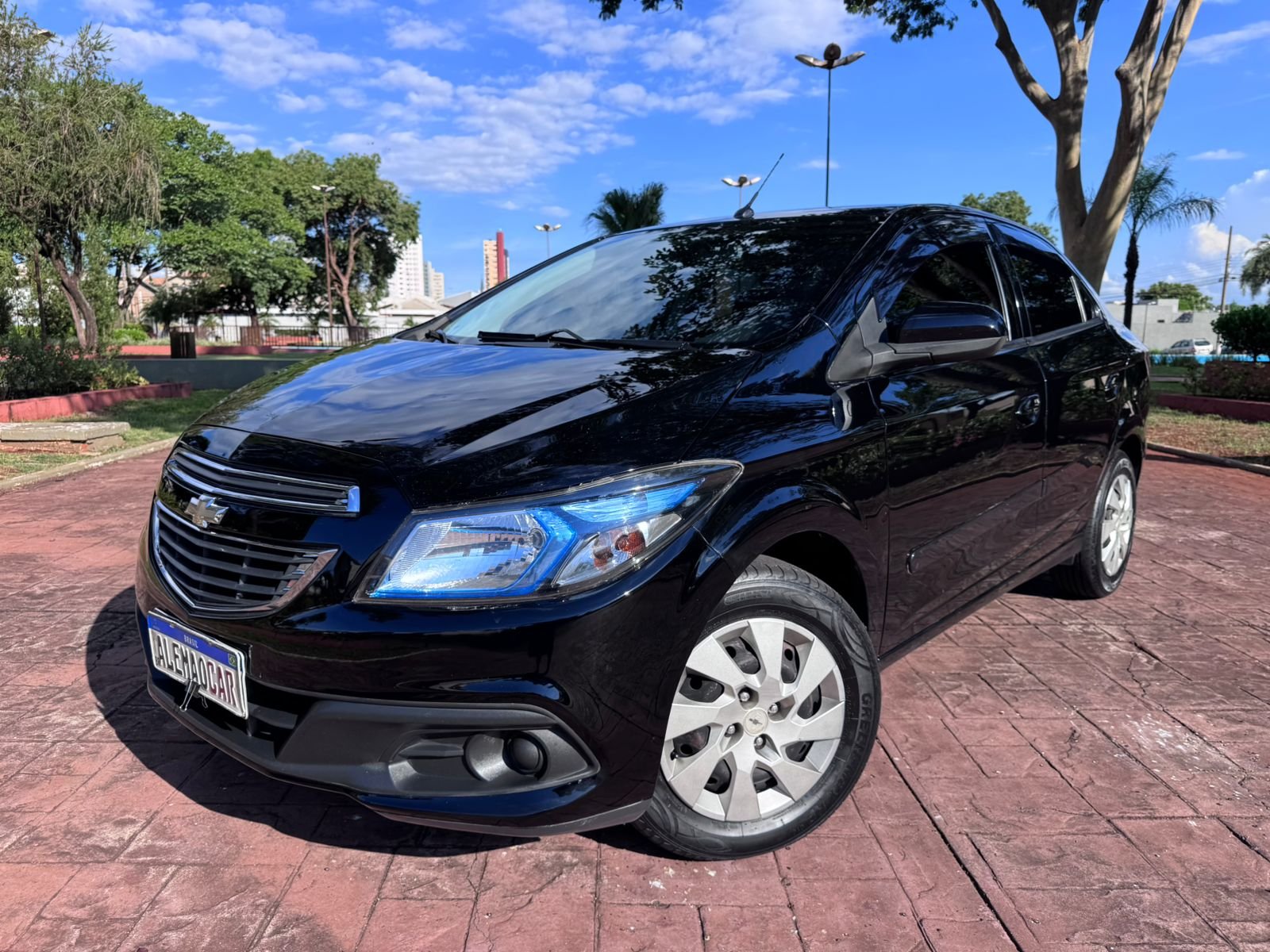 WhatsApp Image 2026-02-19 at 16.51.48